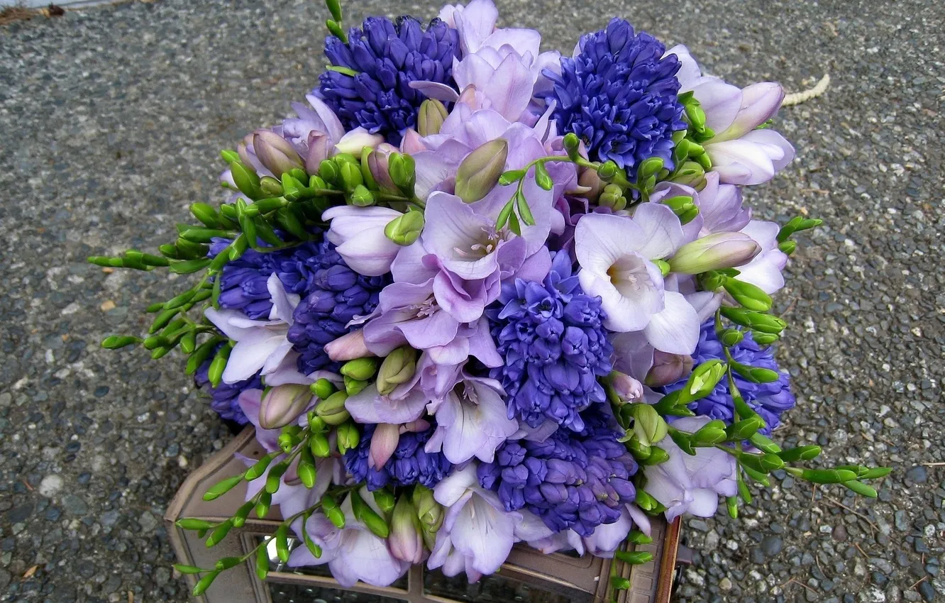 Photo wallpaper asphalt, flowers, bouquet