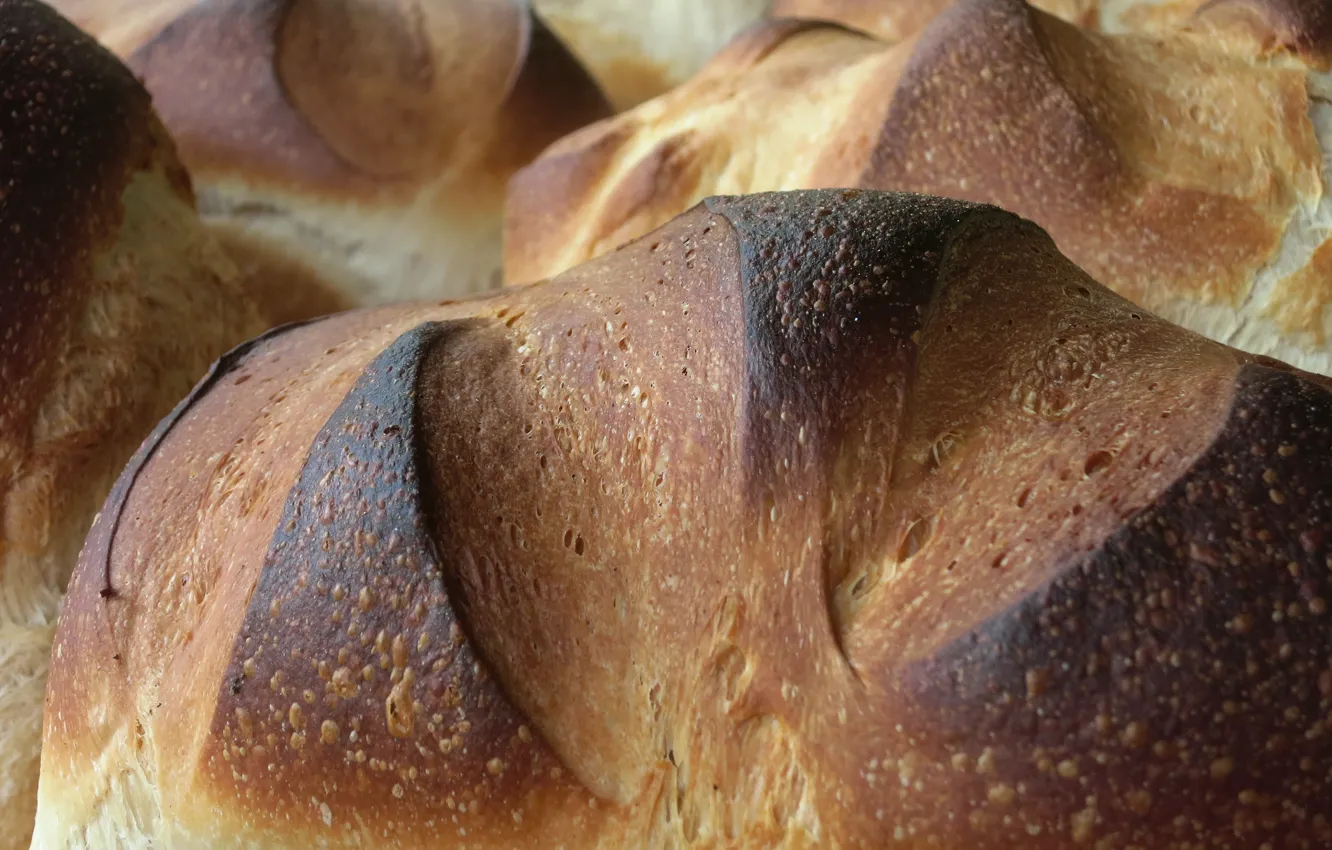Photo wallpaper macro, bread, fresh