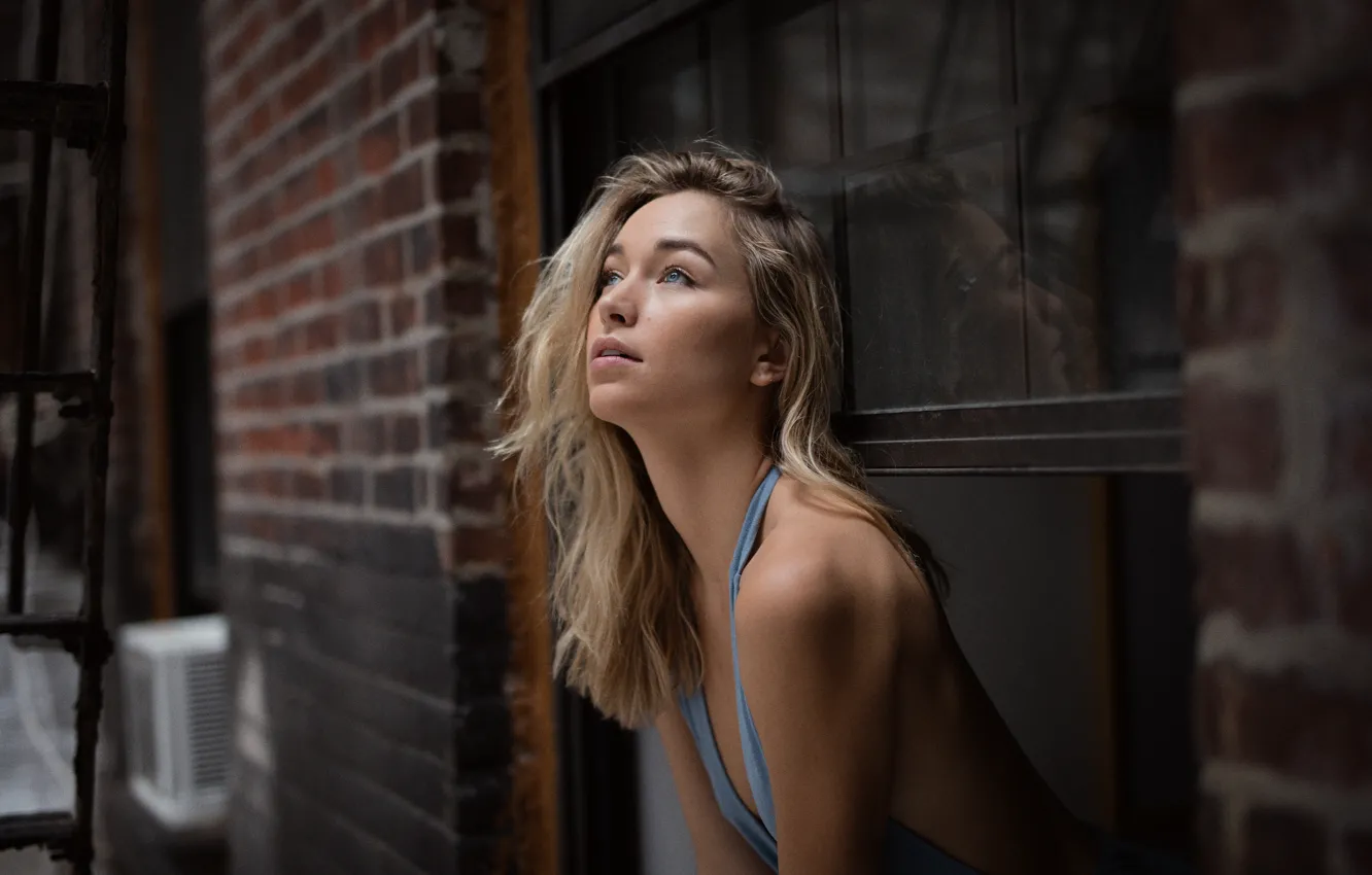 Photo wallpaper girl, face, hair, window, lips, Jocelyn