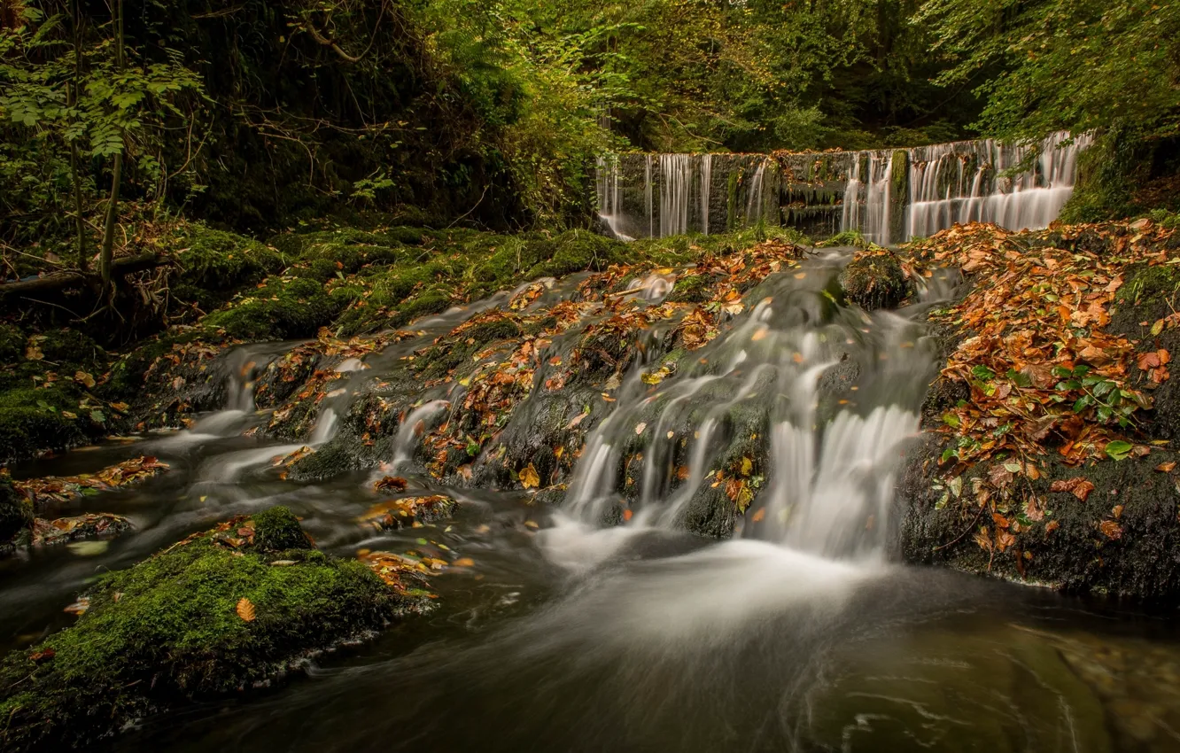 Photo wallpaper autumn, forest, England, waterfall, cascade, England, The lake district, Lake District