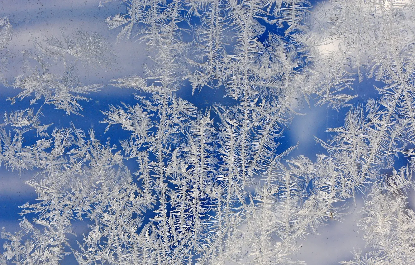 Photo wallpaper winter, frost, macro, frost, frost, patterns on the window