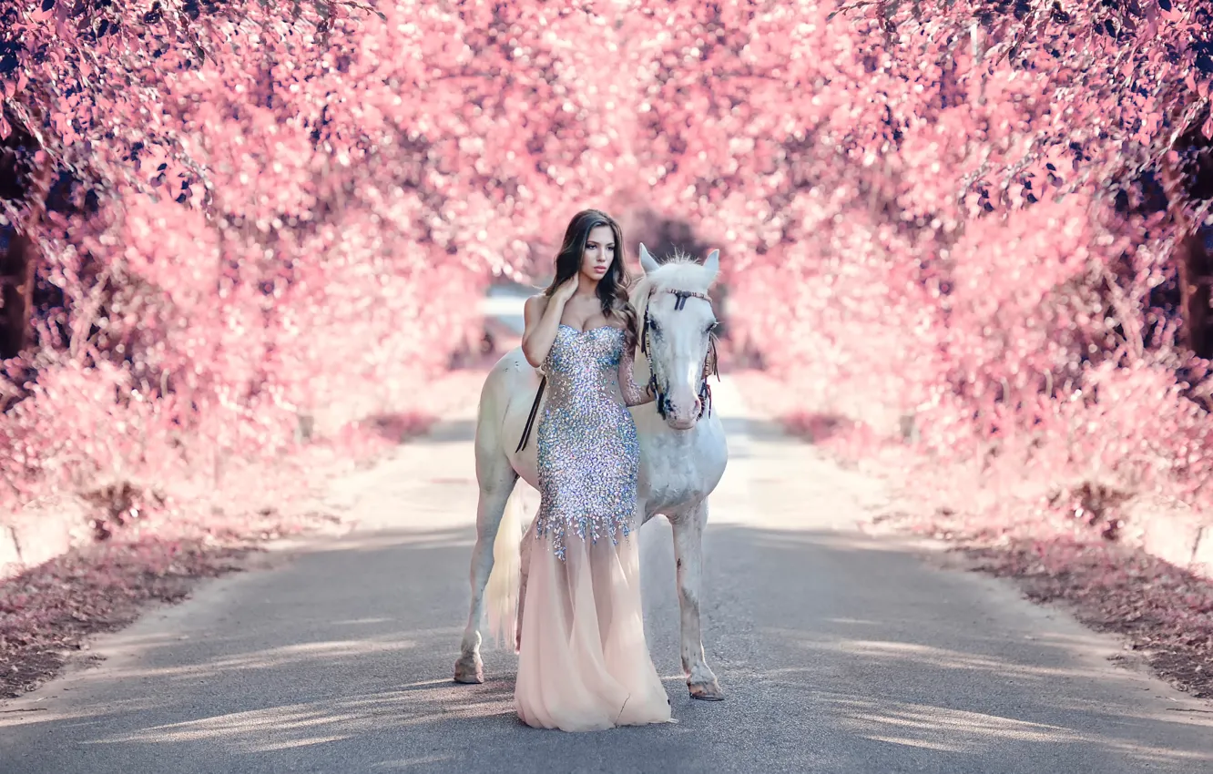 Photo wallpaper road, girl, horse, Alessandro Di Cicco, My fantasy world