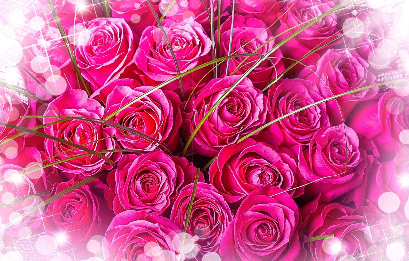 Photo wallpaper flowers, bouquet, pink background, pink roses