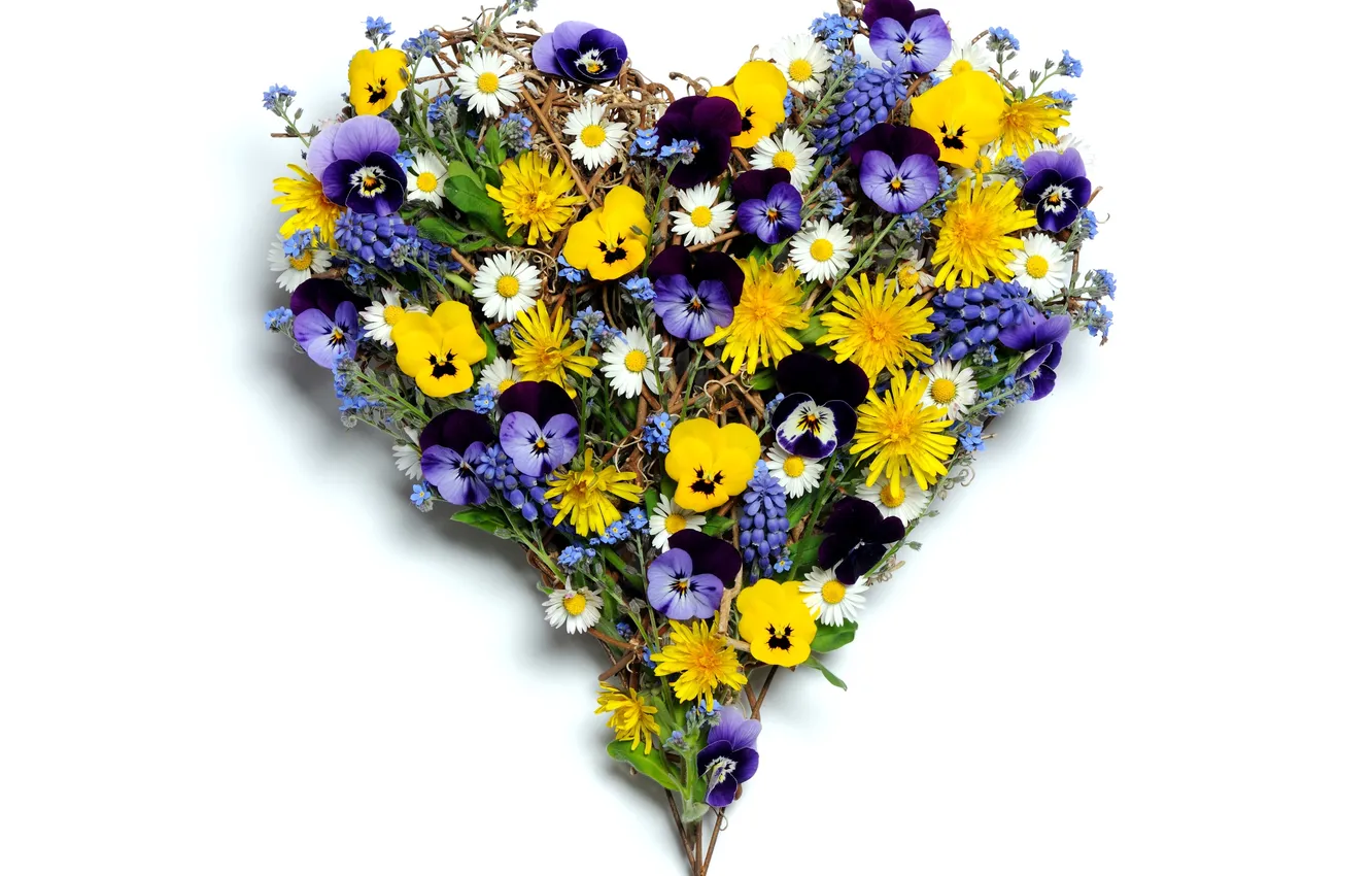Photo wallpaper flowers, hearts, composition, anytin eyes