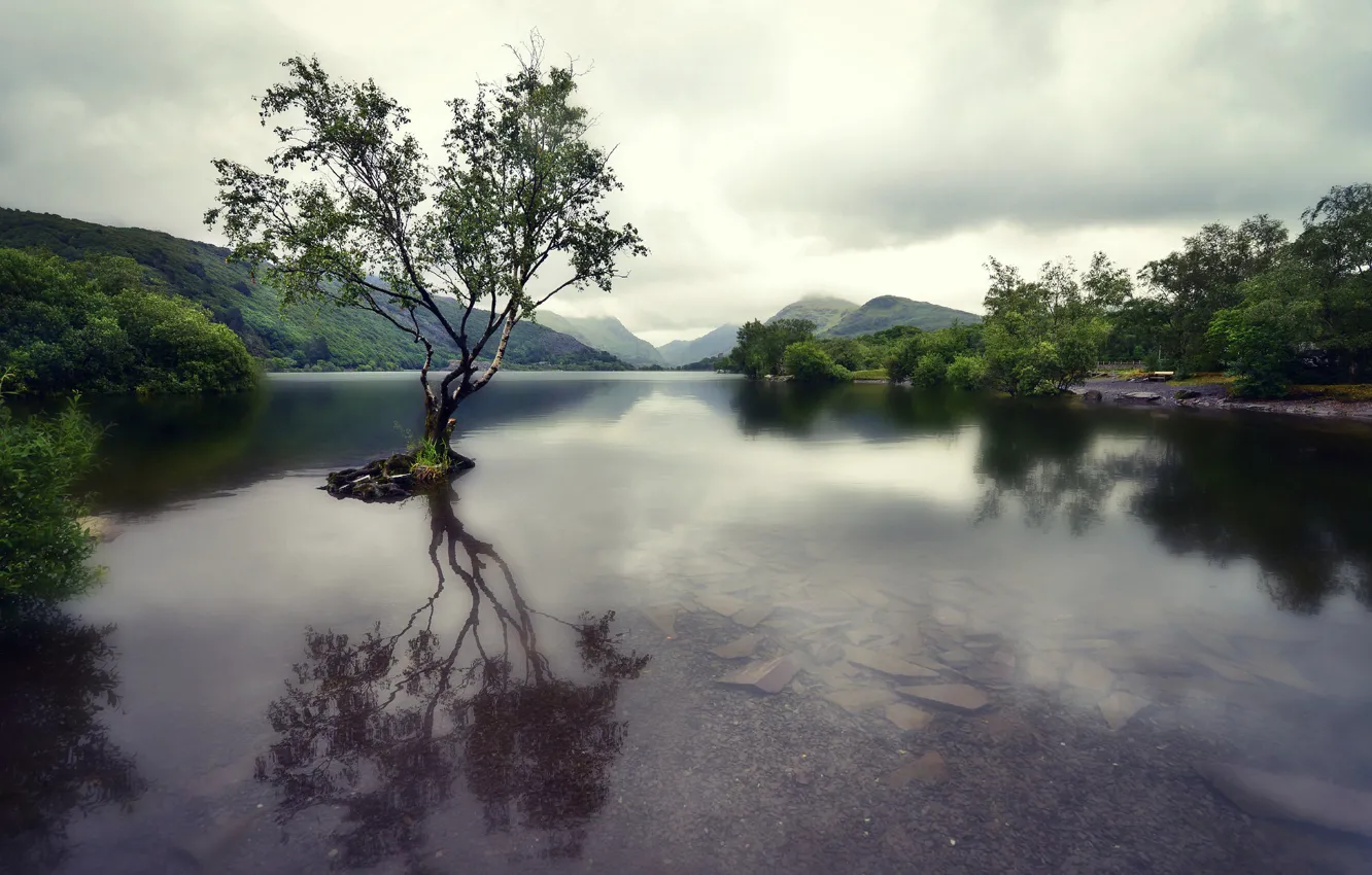 Photo wallpaper mountains, lake, tree, Wales, Snowdonia