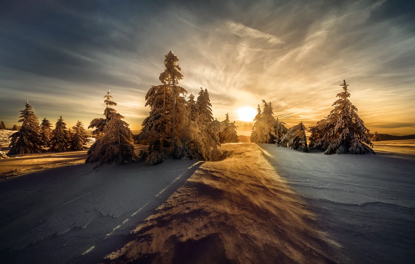 Photo wallpaper winter, forest, the sky, the sun, clouds, light, snow, sunset