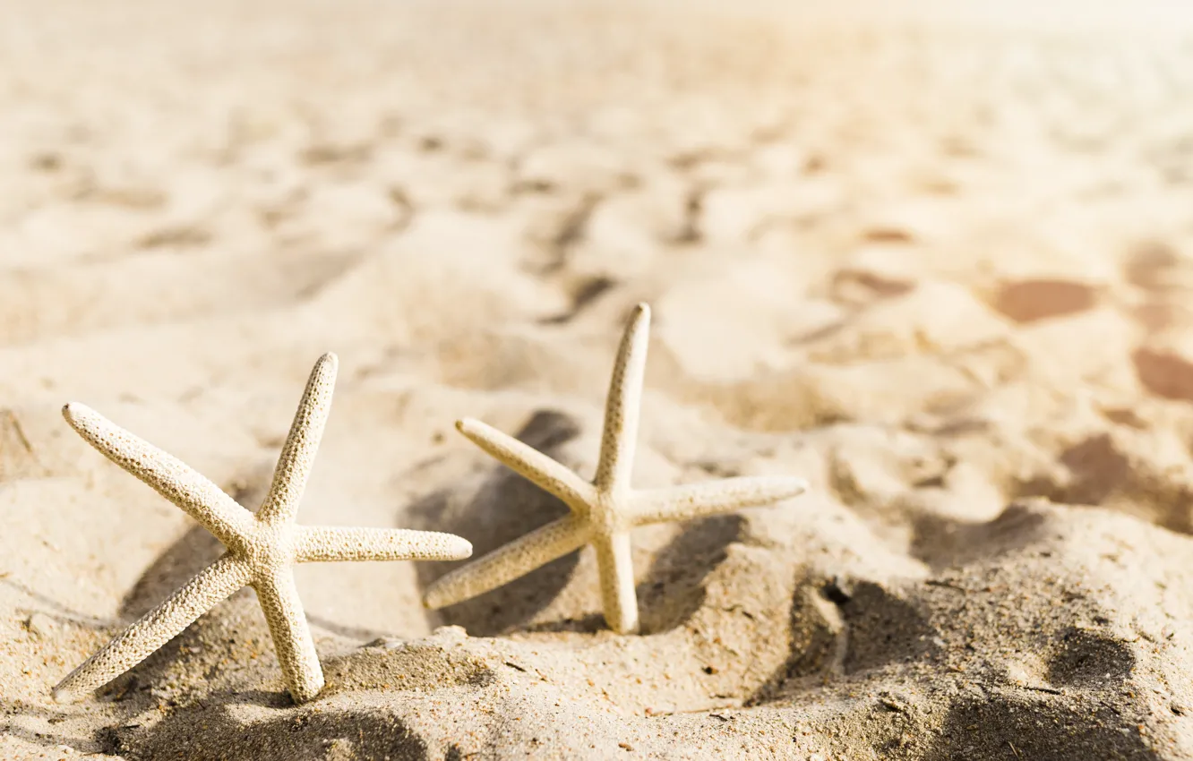 Photo wallpaper sand, sea, beach, summer, stars, summer, beach, sea