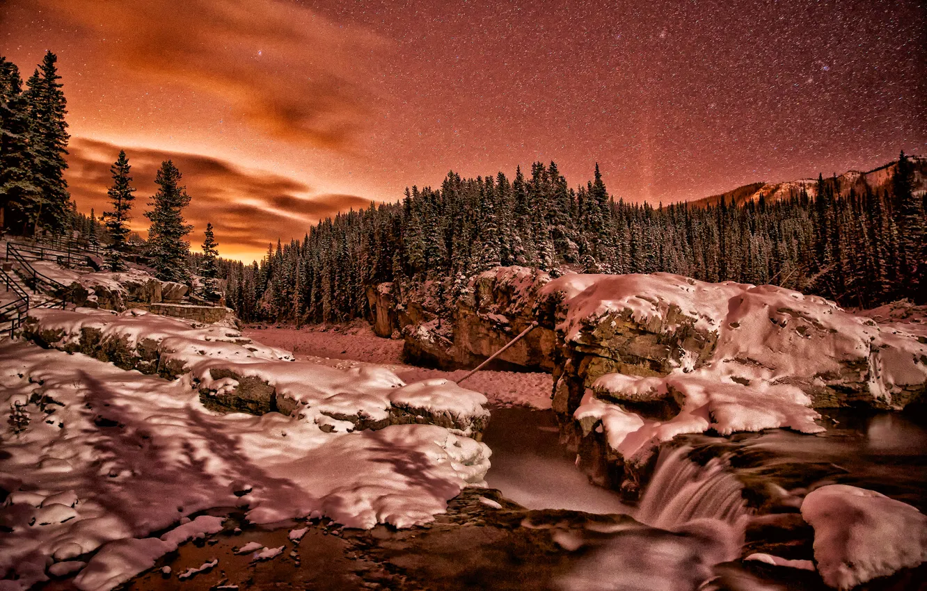 Photo wallpaper forest, the sky, stars, trees, landscape, river, stones, rocks