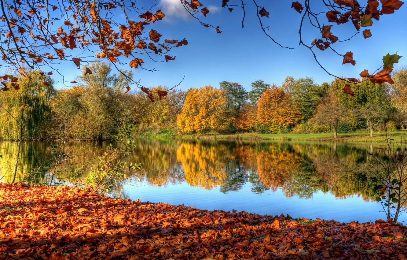 Photo wallpaper autumn, the sky, leaves, trees, nature, reflection, river, Netherlands
