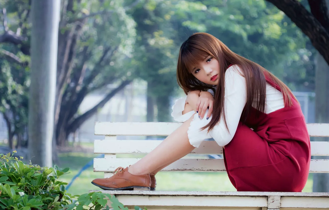 Photo wallpaper girl, trees, bench, sweetheart, girl, Asian, asian, cute