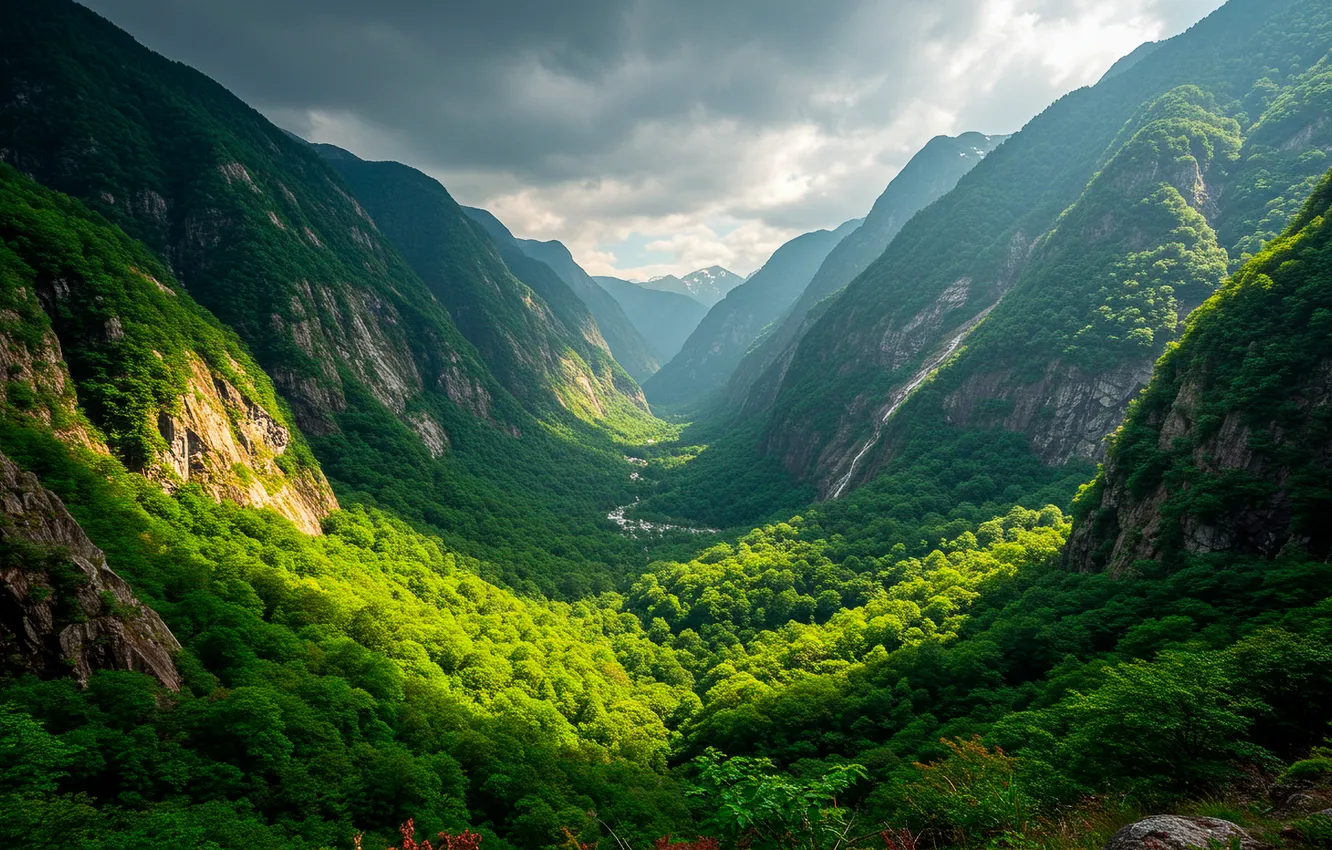 Photo wallpaper the sky, clouds, mountains, nature, Wallpaper, vegetation, valley, haze