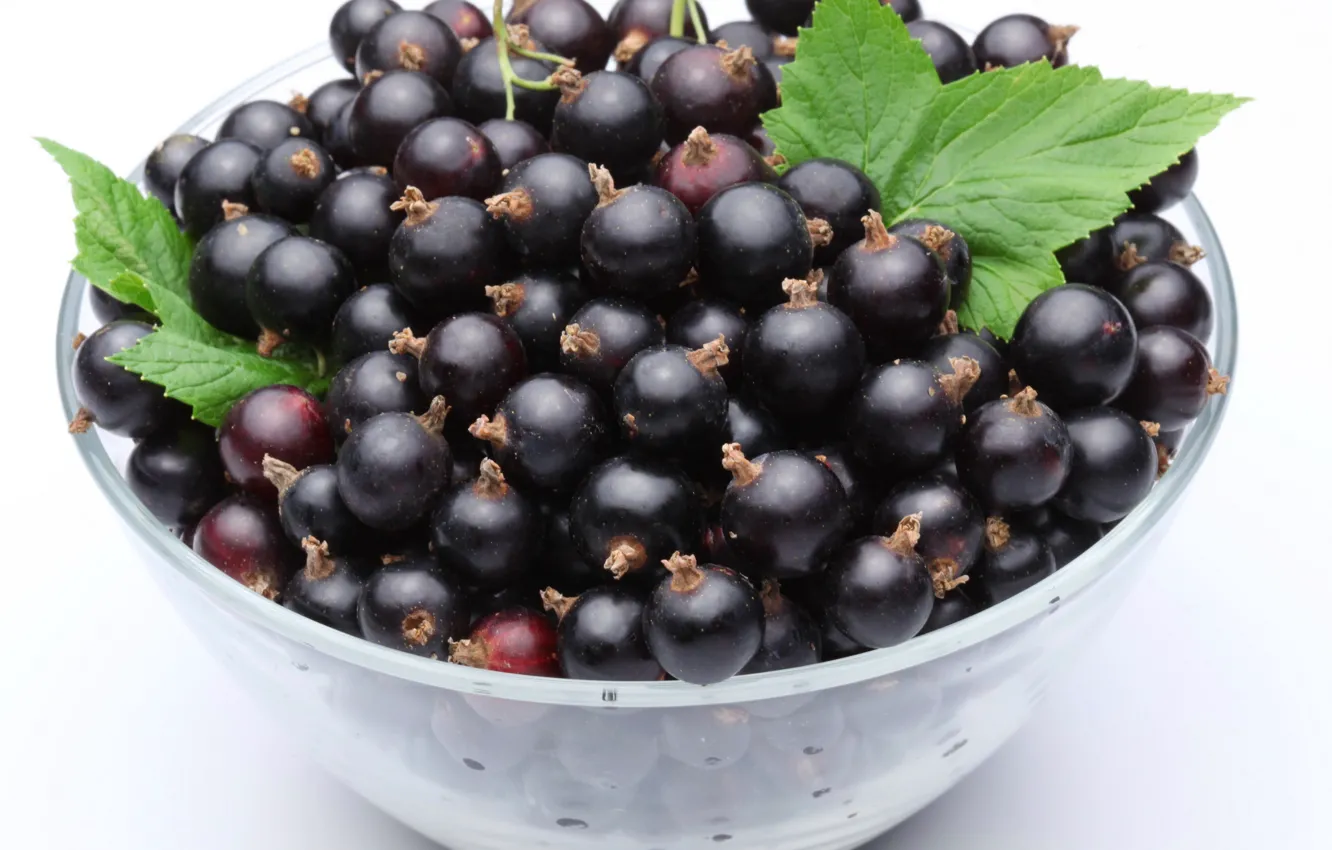 Photo wallpaper leaves, berries, bowl, currants