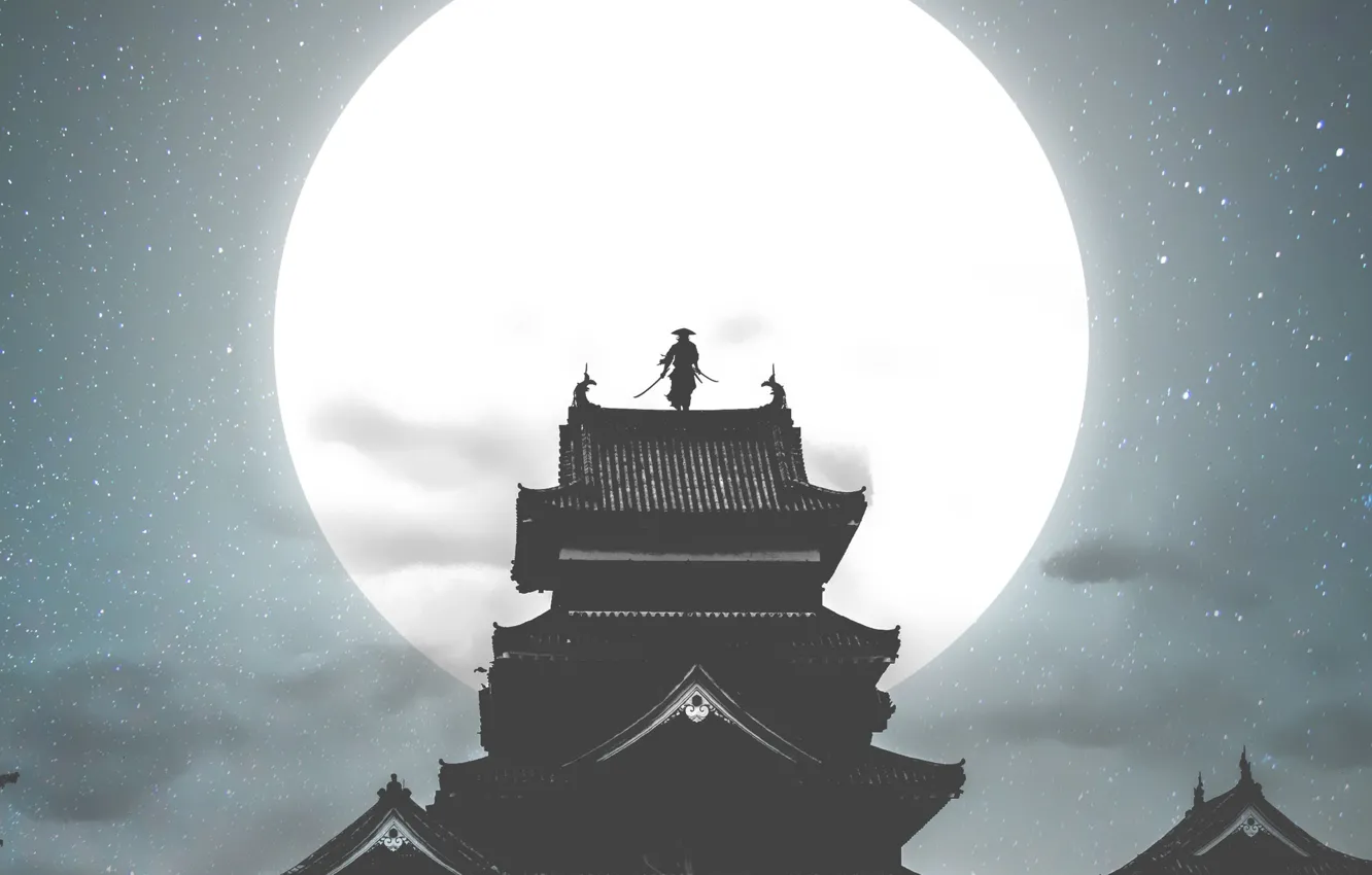 Photo wallpaper Night, The moon, Palace, Castle, Roof, Samurai, Art, Illustration