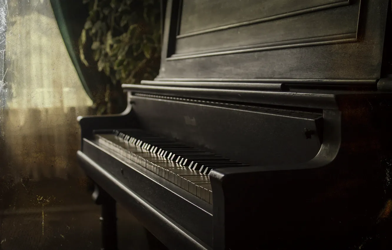 Photo wallpaper light, retro, music, room, treatment, keys, window, piano