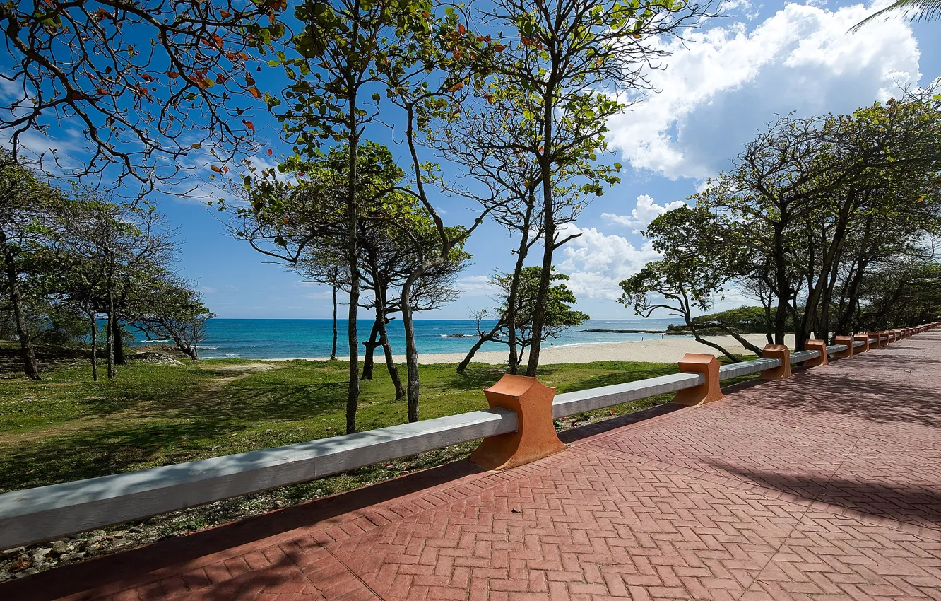 Photo wallpaper road, sea, nature, the curb