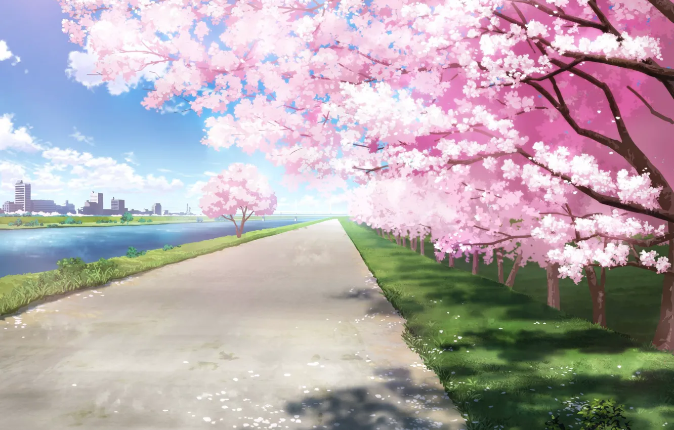 Photo wallpaper the city, river, spring, Sakura