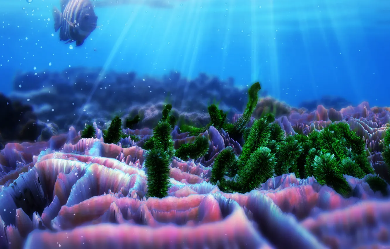 Photo wallpaper fish, corals, Reef