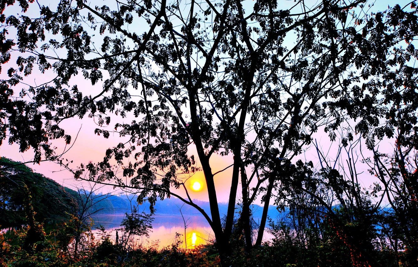 Photo wallpaper trees, water, lake, morning, sun, sunrise, dawn, woods