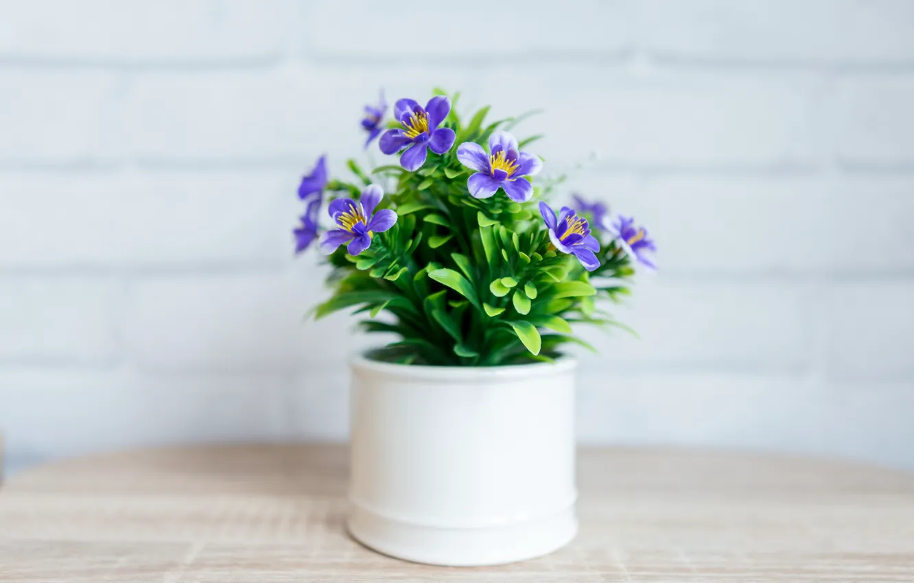 Photo wallpaper flower, pot, wood
