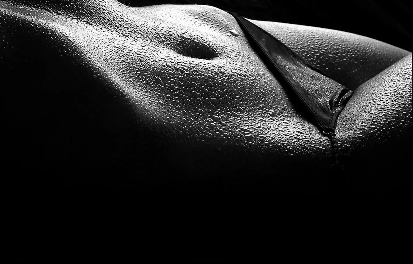 Photo wallpaper macro, background, sweat