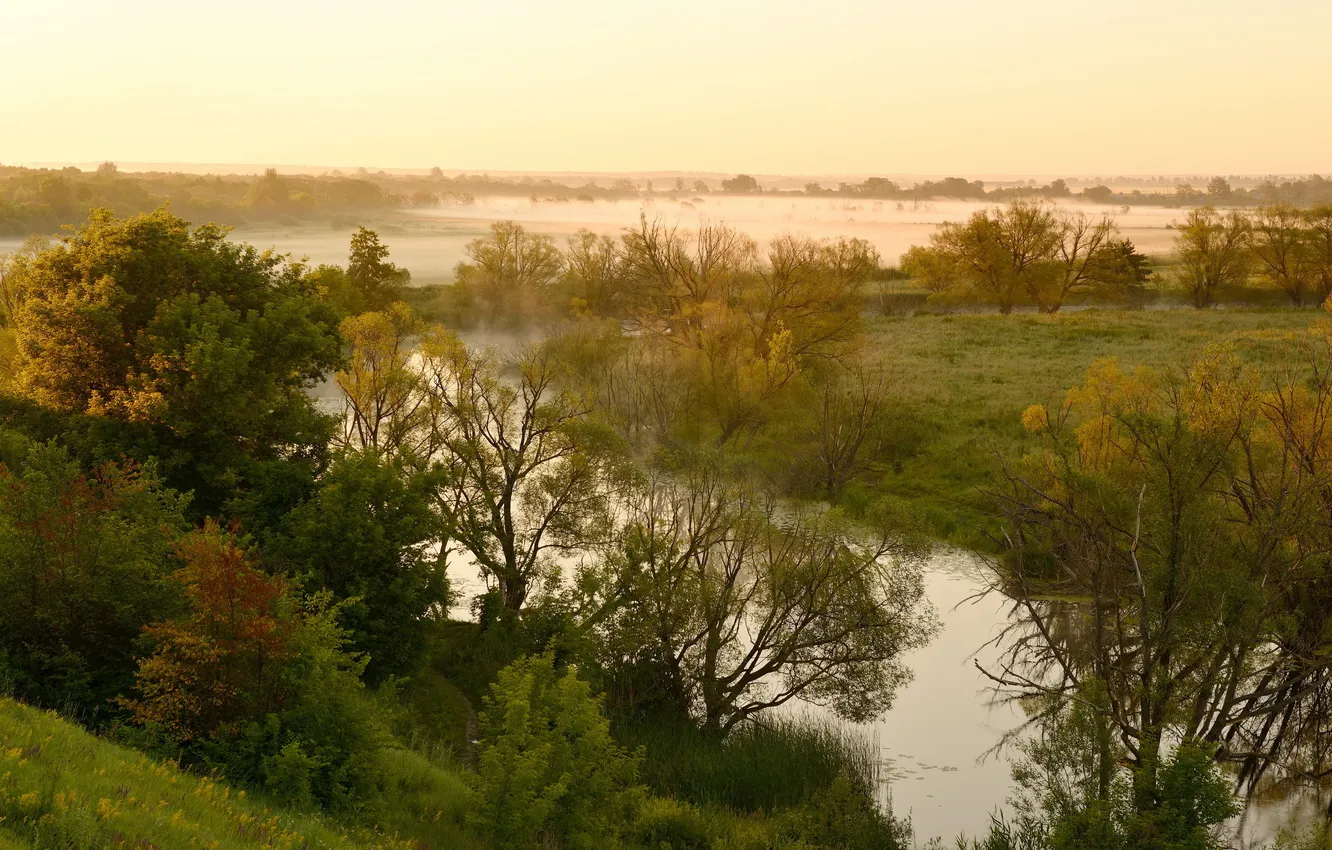 Photo wallpaper nature, fog, river, morning