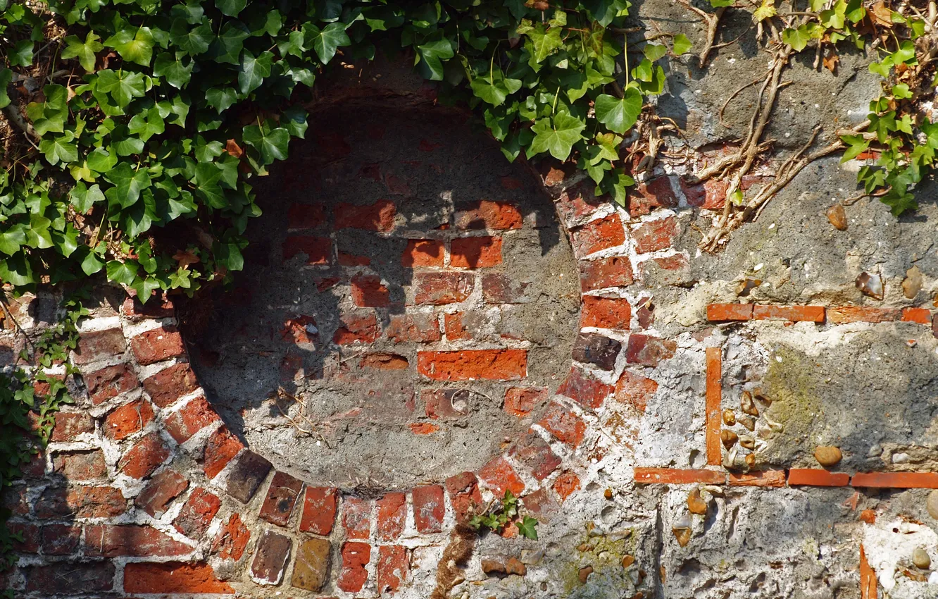 Photo wallpaper leaves, circles, stones, wall, brick, window, masonry, Sunny