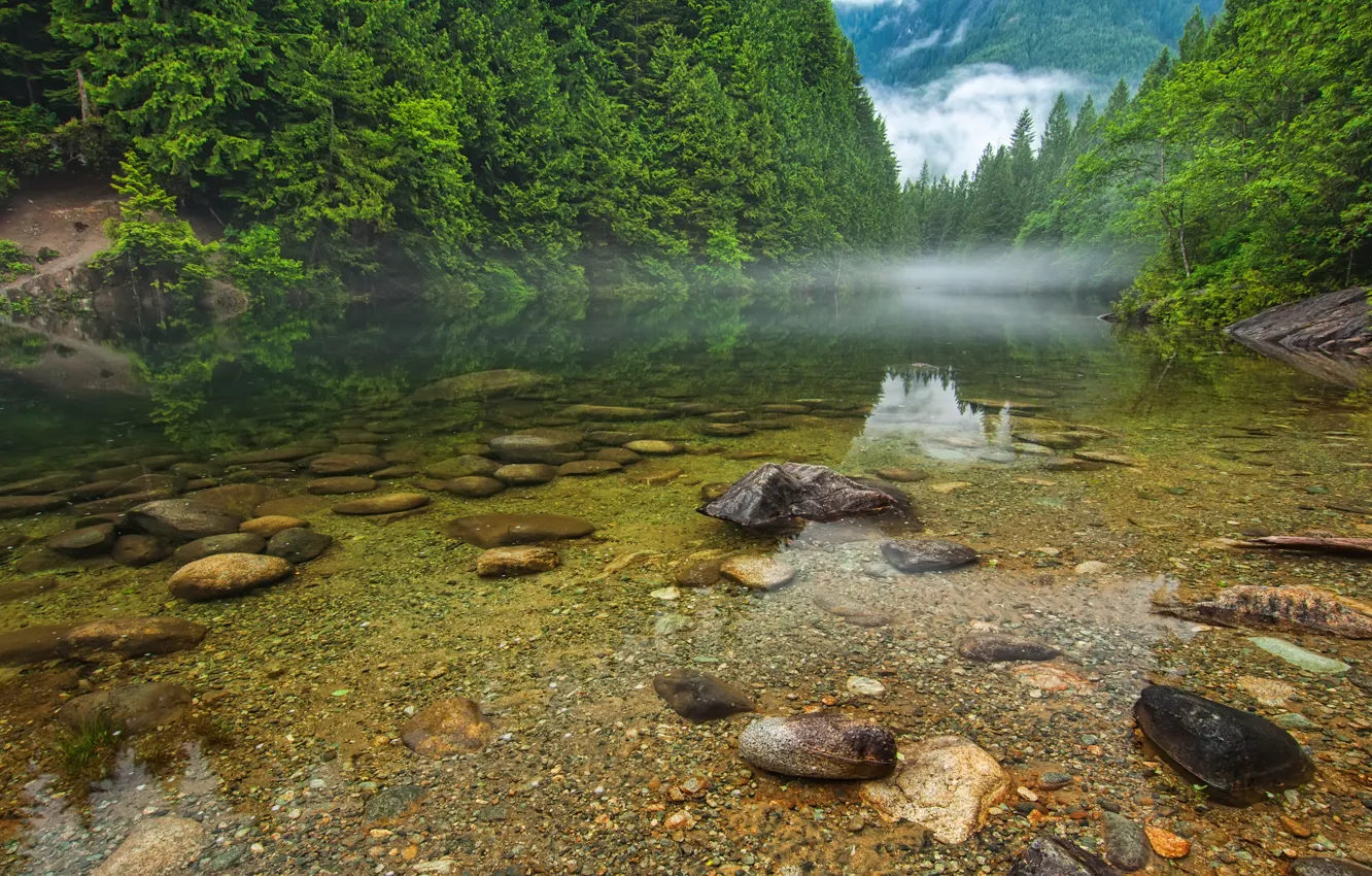 Photo wallpaper forest, trees, mountains, fog, lake, river, stones, Canada