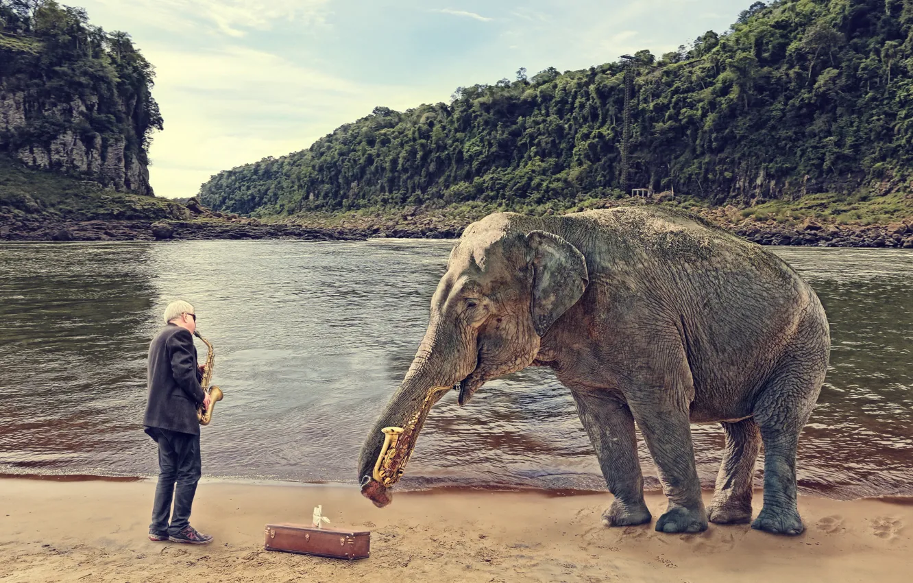 Photo wallpaper people, elephant, saxophone