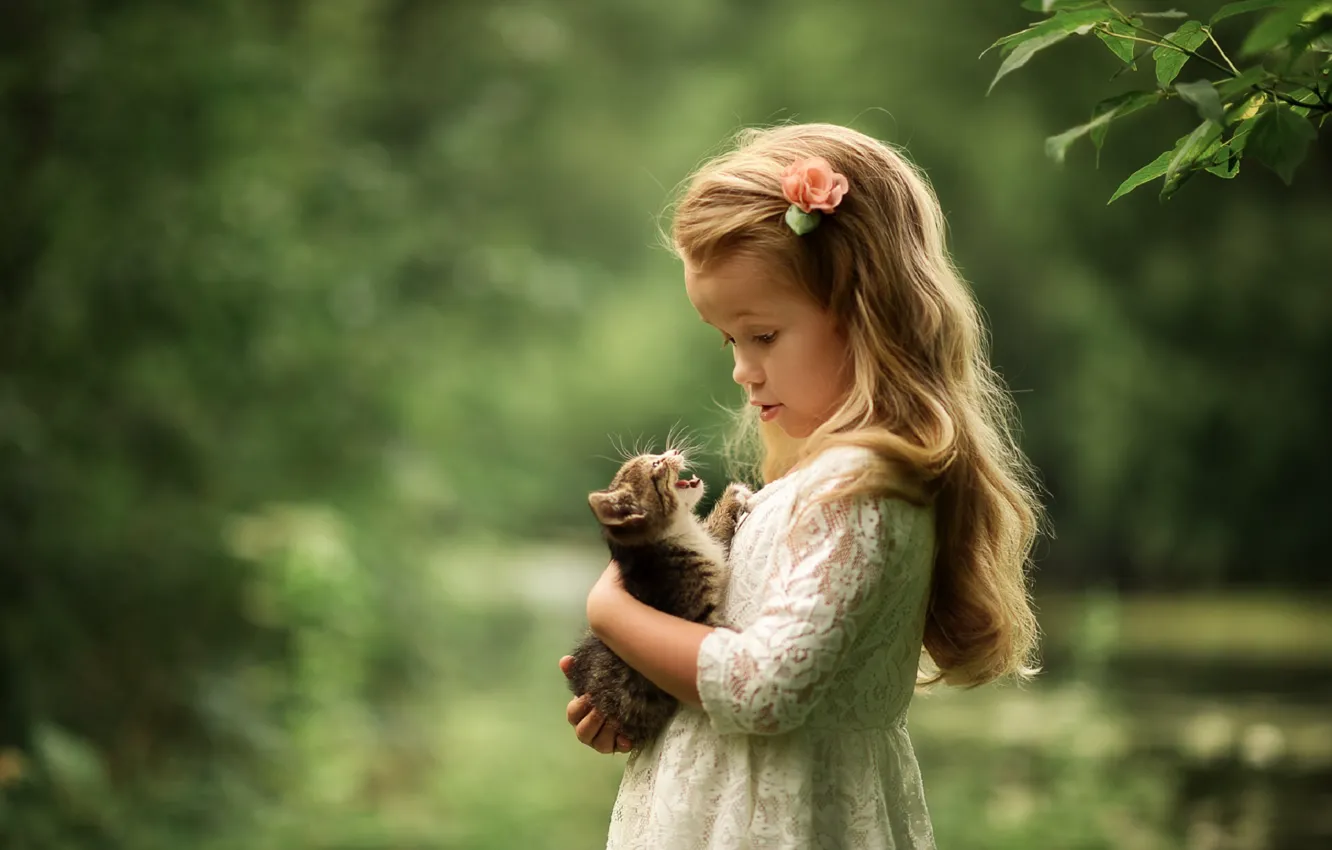 Photo wallpaper cat, look, dress, girl, kitty