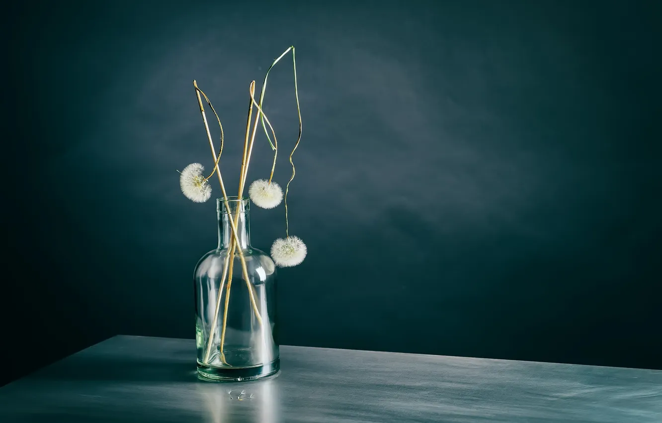 Photo wallpaper background, color, Bank, form