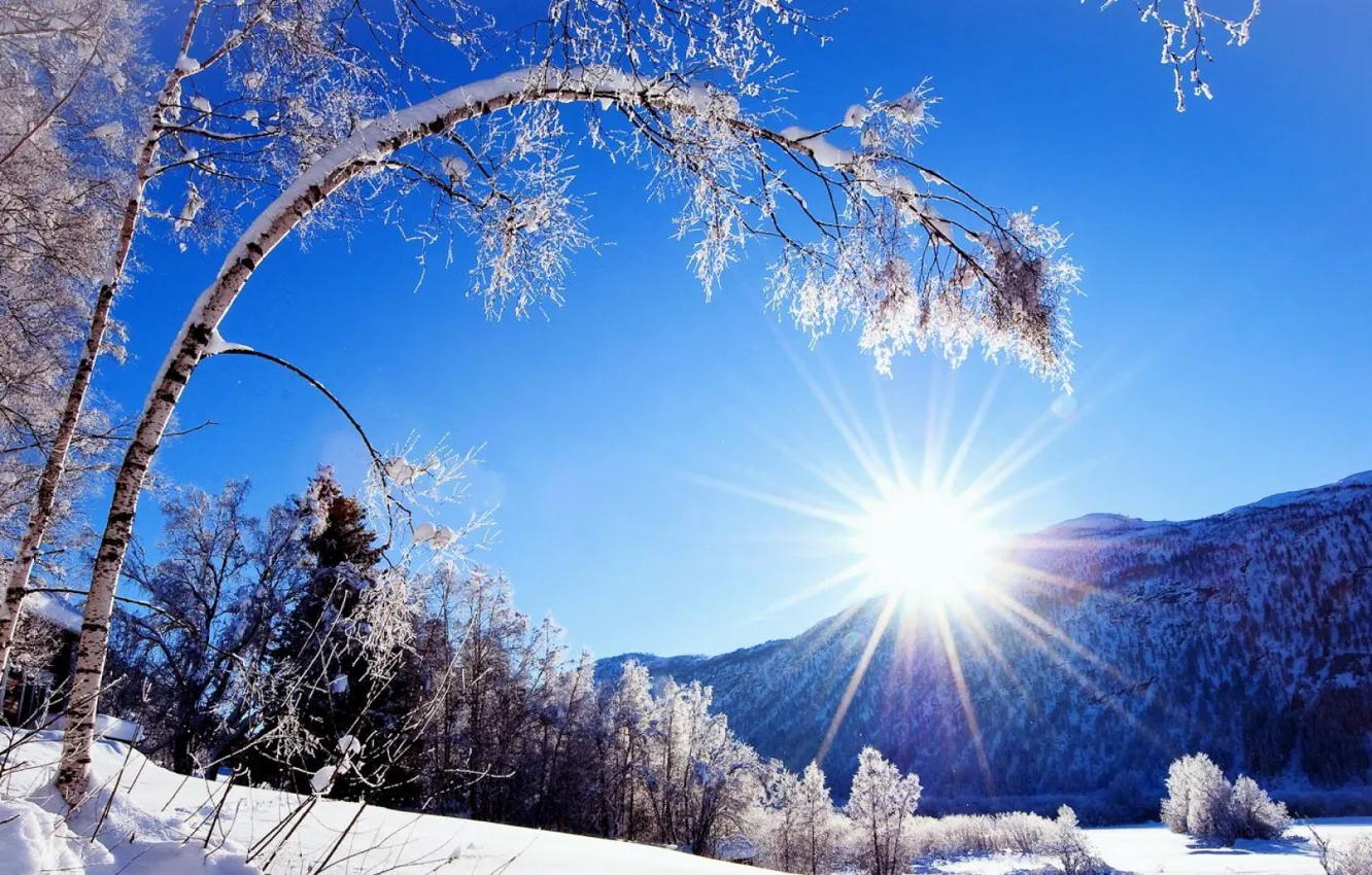 Photo wallpaper winter, the sky, the sun, rays, snow, trees, mountains