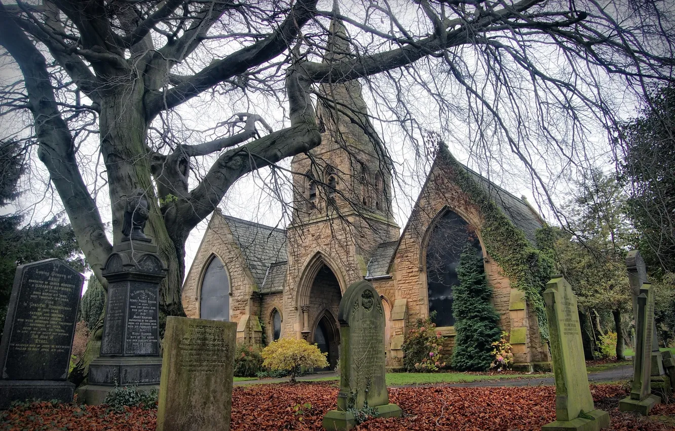 Photo wallpaper trees, Park, cemetery, headstone