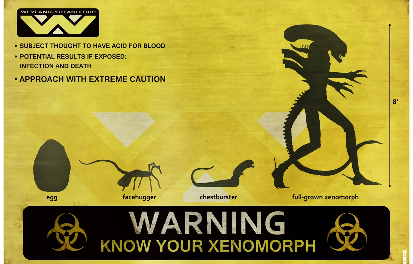 Photo wallpaper warning, Stranger, alien, alien, egg, xenomorph, chest burster, facehugger
