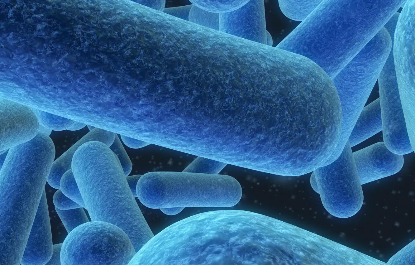 Photo wallpaper blue, bacteria, microscopic