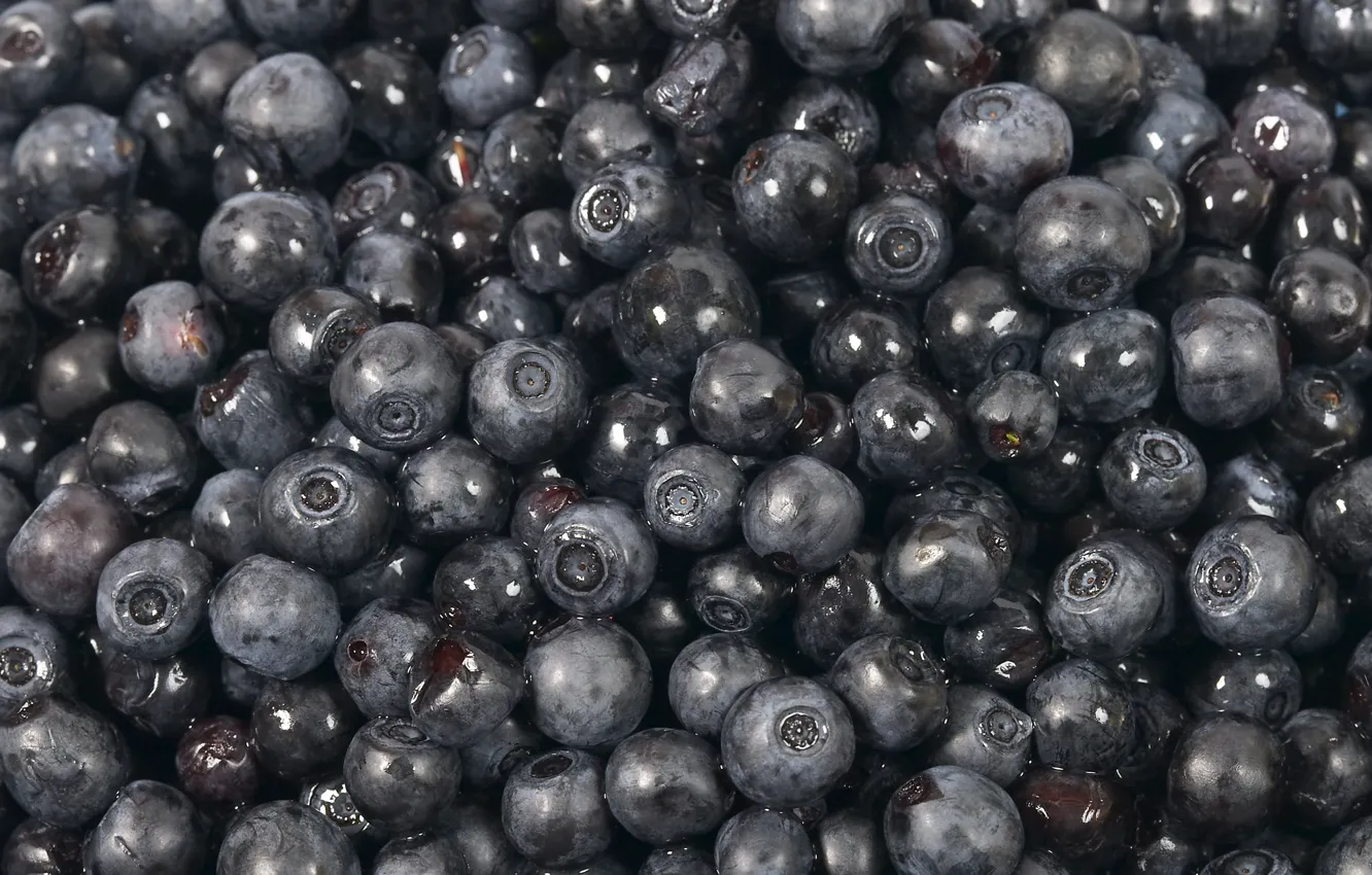 Photo wallpaper black, blueberries, sweet