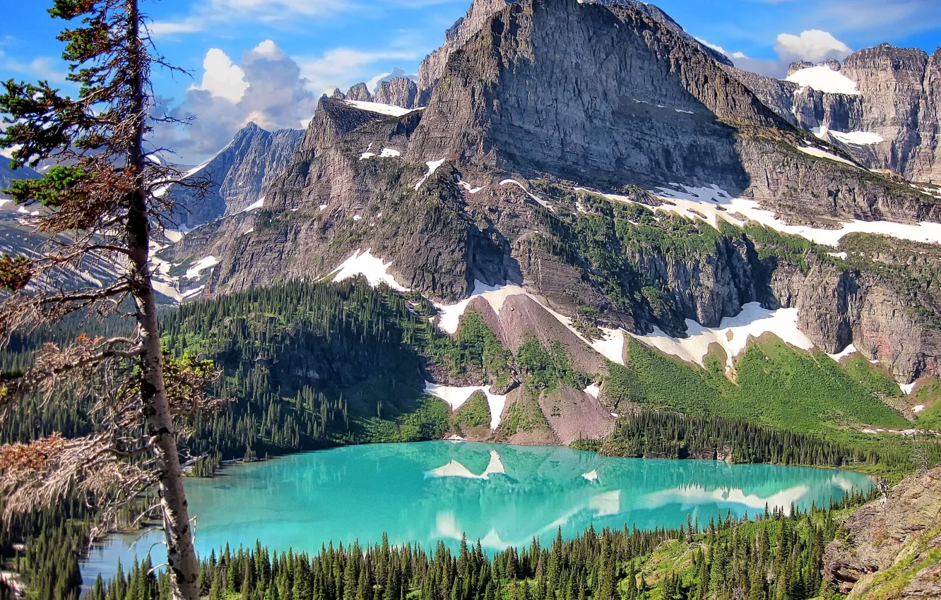 Photo wallpaper forest, mountains, nature, lake, Glacier National Park