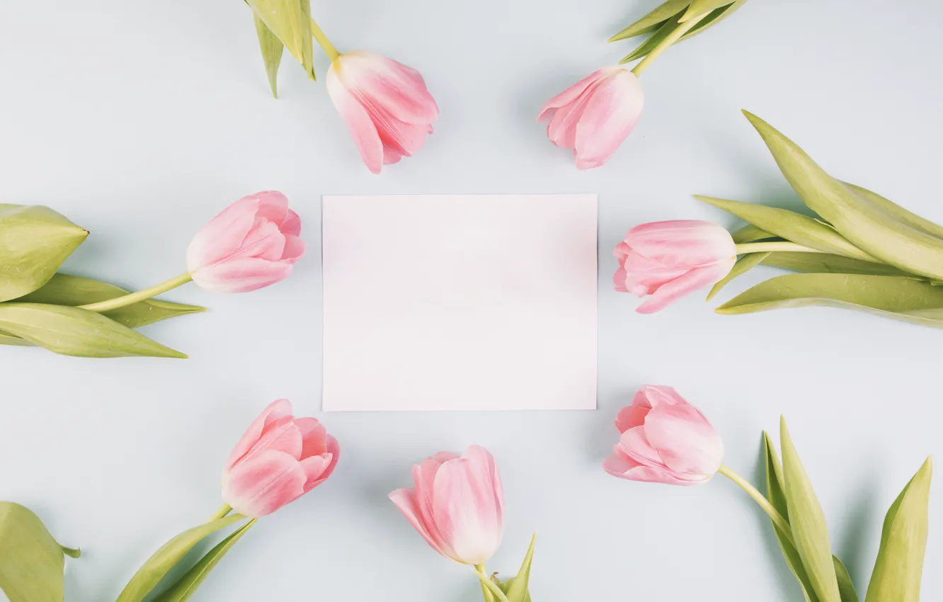 Photo wallpaper flowers, frame, tulips, pink, fresh, wood, pink, flowers
