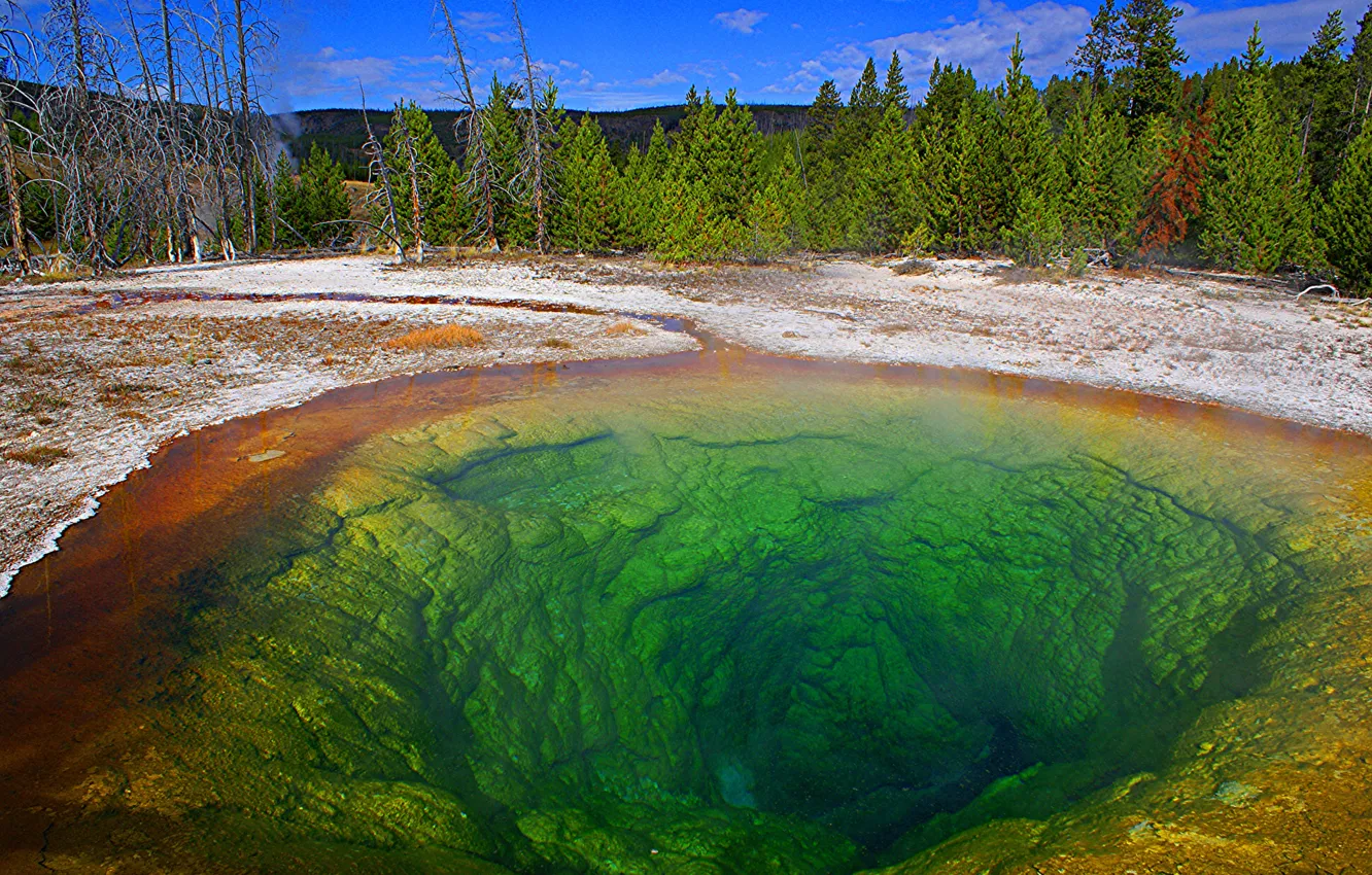 Photo wallpaper the sky, trees, mountains, lake, pair, USA, geyser, Yellowstone National Park