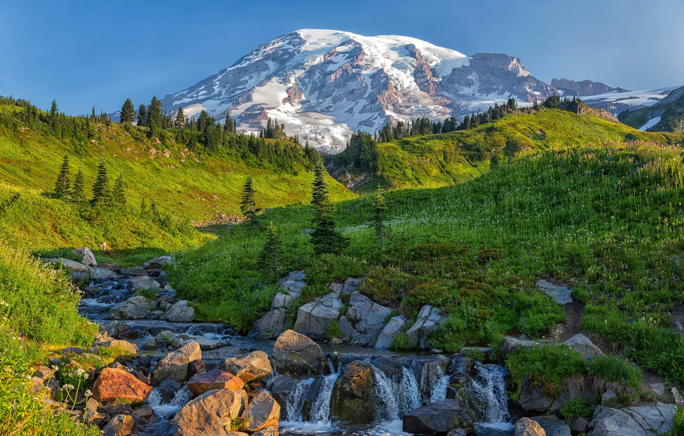 Photo wallpaper trees, mountains, stream, stones, Mount Rainier, The cascade mountains, Washington State, Cascade Range