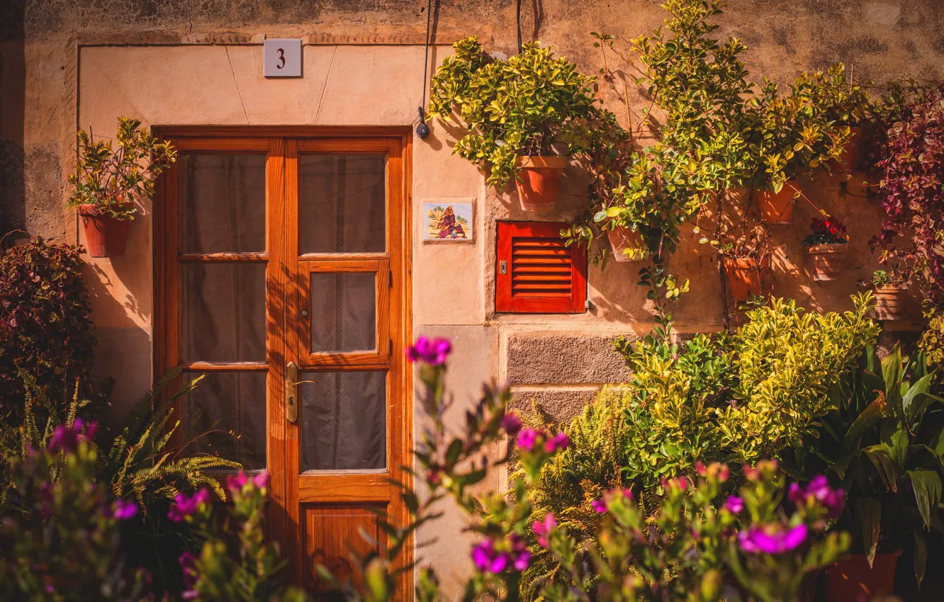 Photo wallpaper house, flowers, door