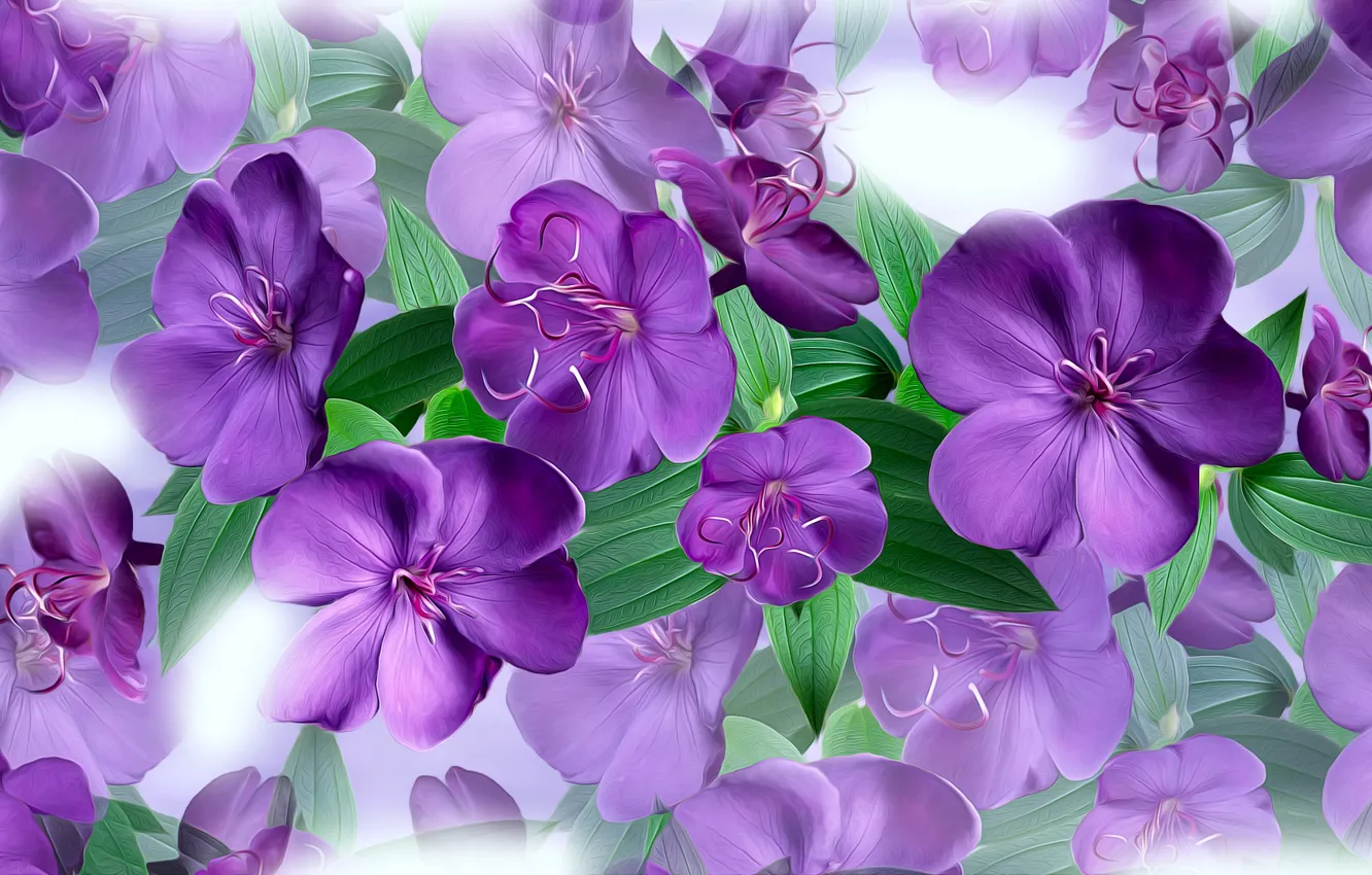 Photo wallpaper Graphics, Flowers, Purple