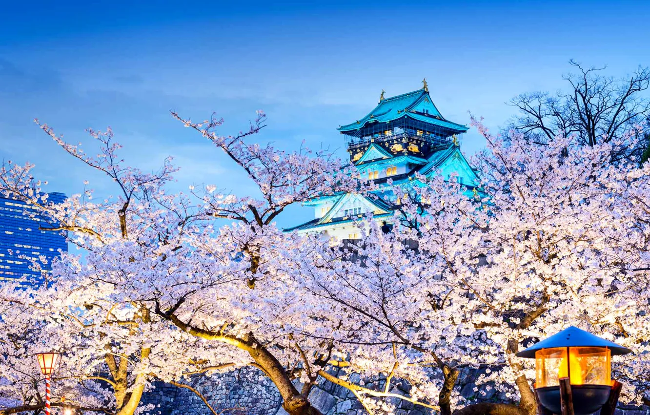 Photo wallpaper house, spring, Japan, Sakura, temple, flowering, Osaka