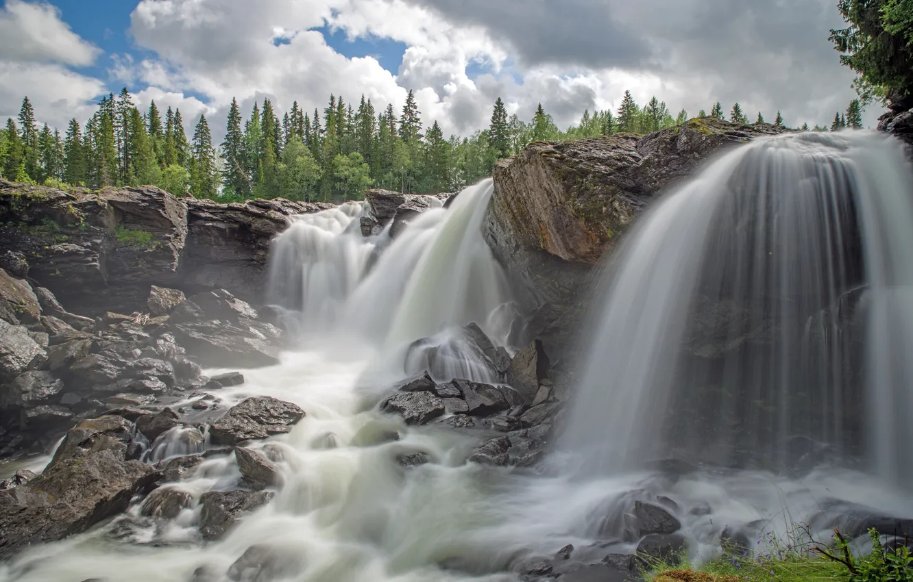Photo wallpaper forest, clouds, trees, stones, rocks, waterfall, Sweden