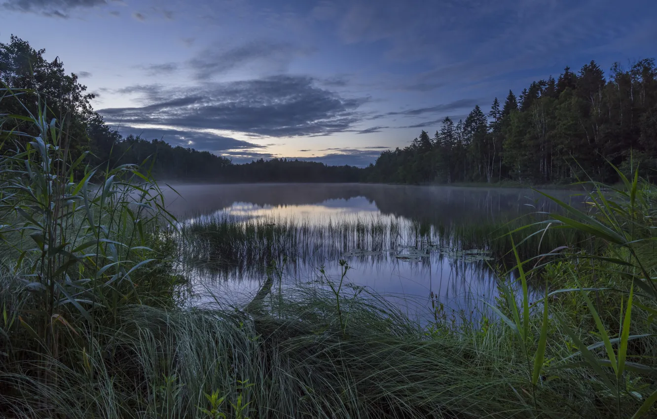 Photo wallpaper lake, surface, calm, Norway, reed, haze, Norway, Strengsdalsvannet