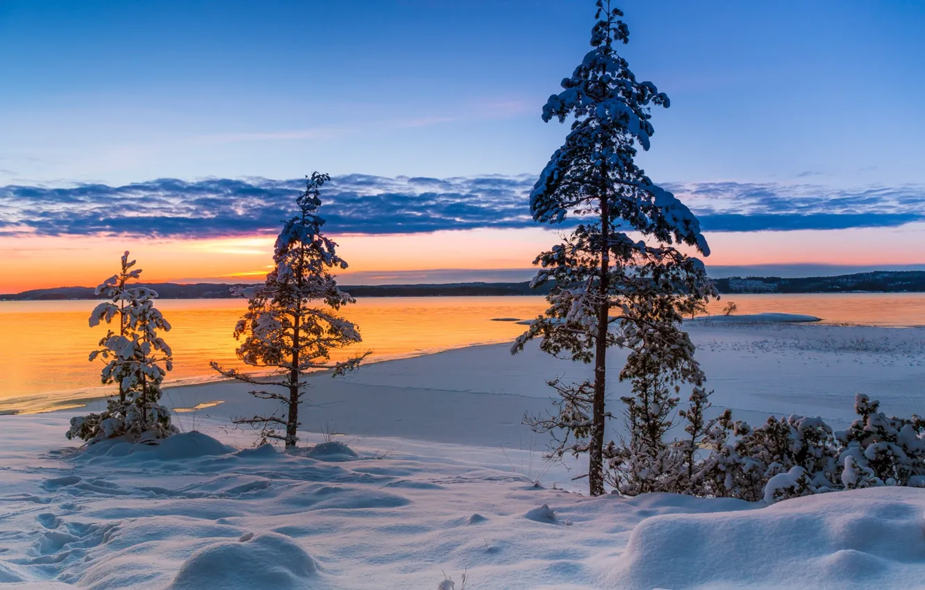 Photo wallpaper winter, snow, trees, sunset, lake, Sweden, Sweden, Varmland County