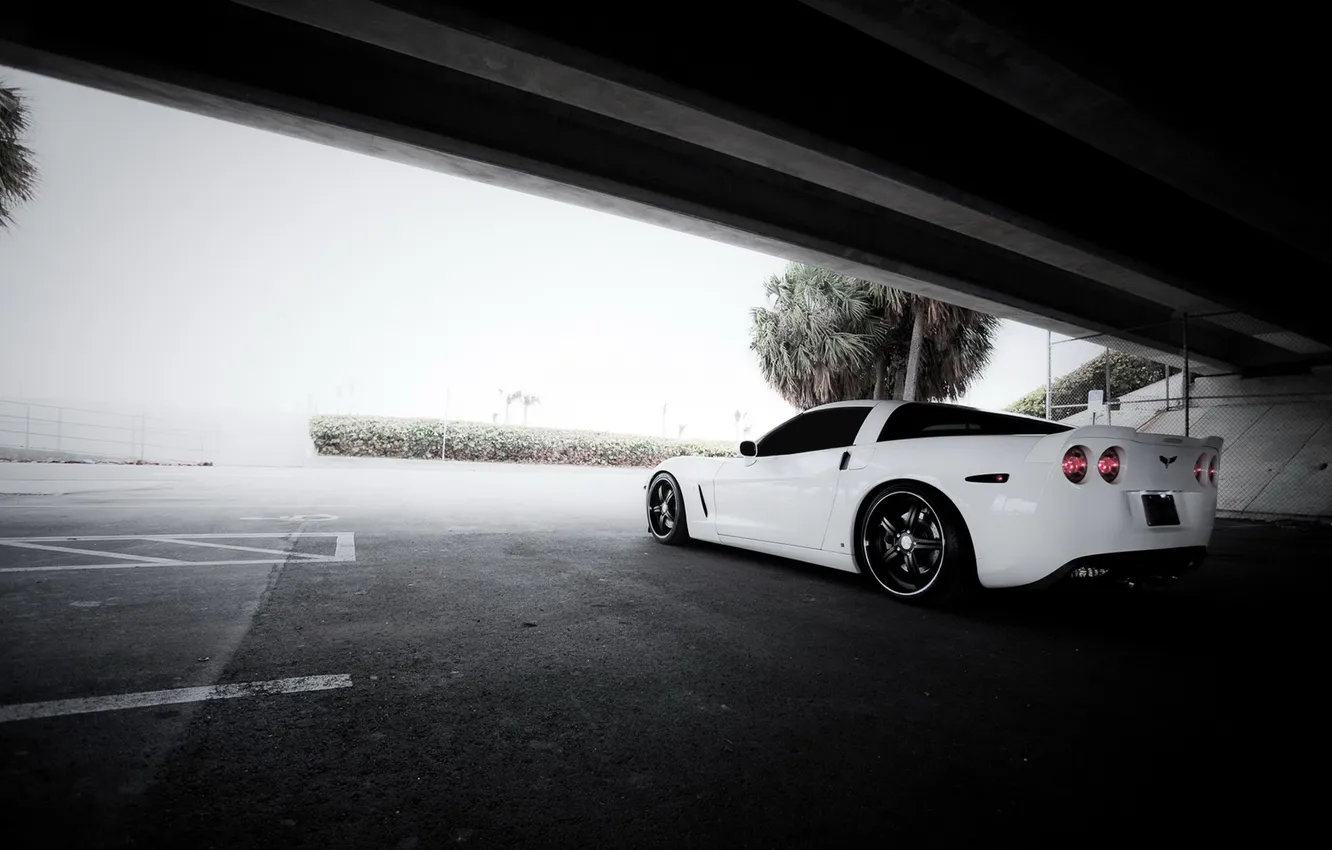 Photo wallpaper white, Parking, Chevrolet Corvette, Corvette