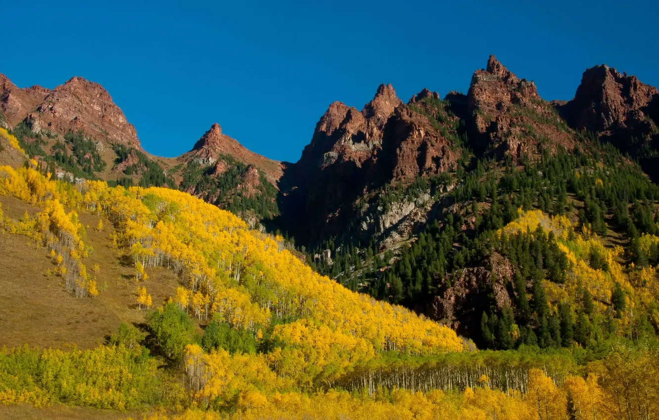 Photo wallpaper forest, trees, mountains, yellow, Colorado, Maroon Bells