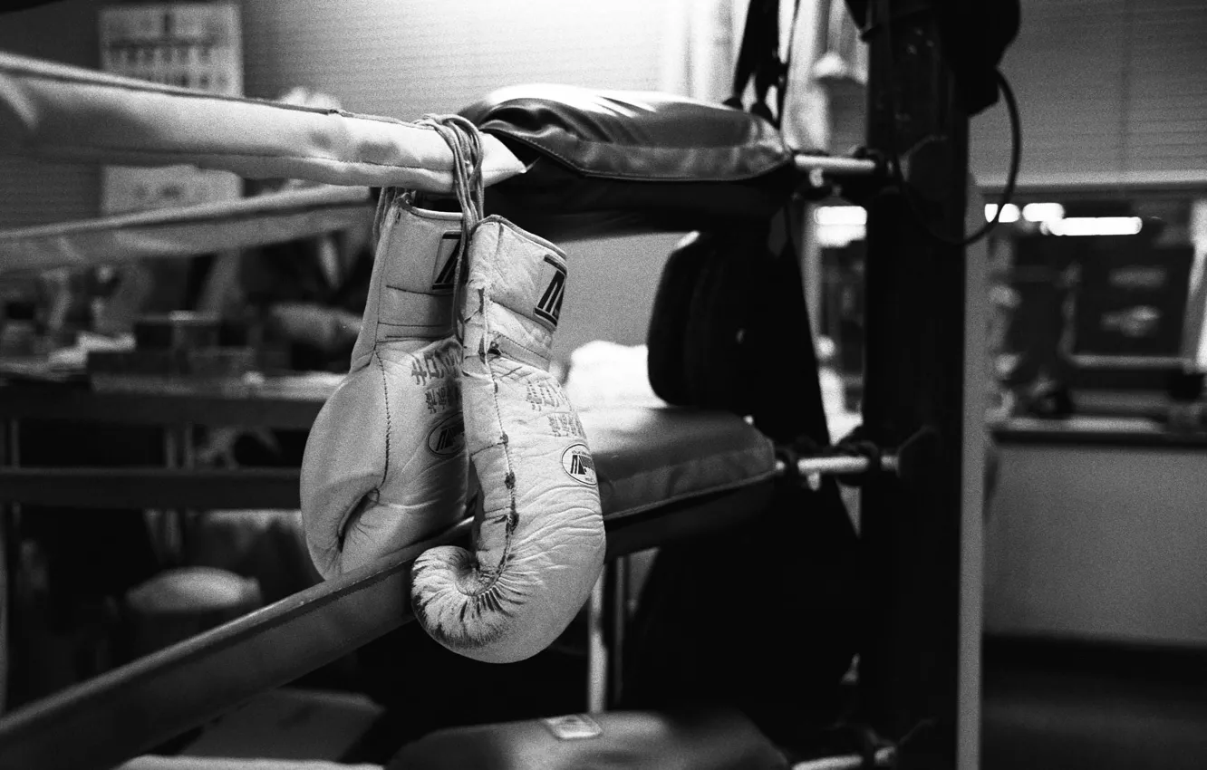 Photo wallpaper Gloves, Ring, Boxing