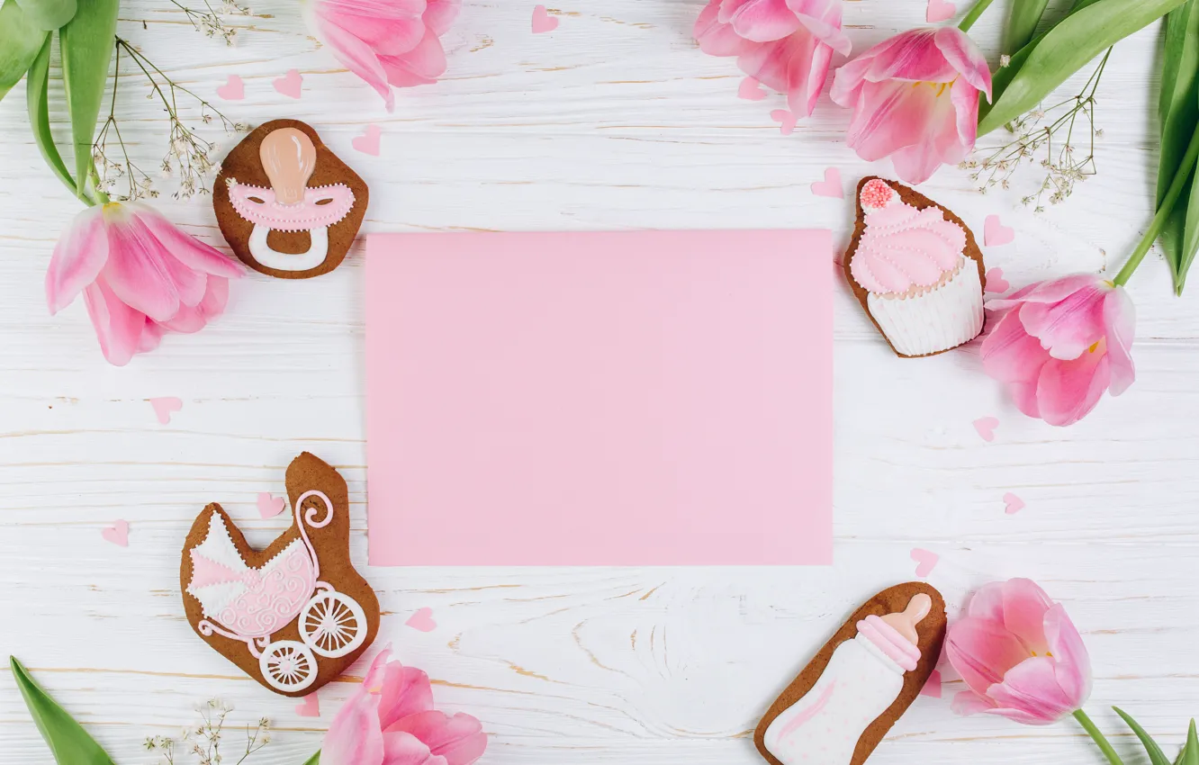 Photo wallpaper flowers, background, holiday, cookies, tulips, birth, buds, nipple
