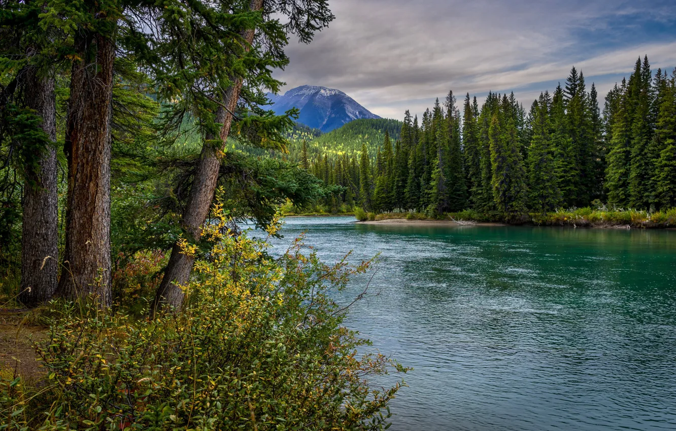 Photo wallpaper trees, landscape, mountains, nature, river, Canada, Albert, forest